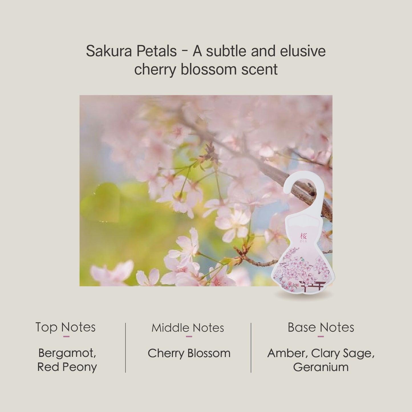 Sakura For Closet
