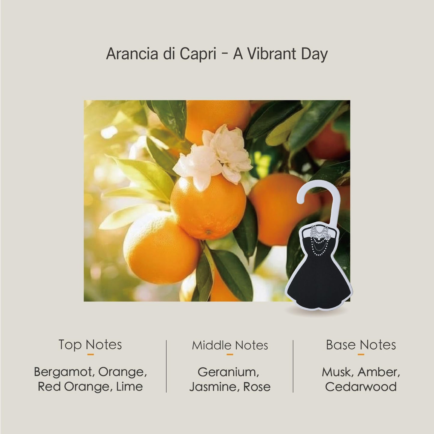 Citrus For Closet
