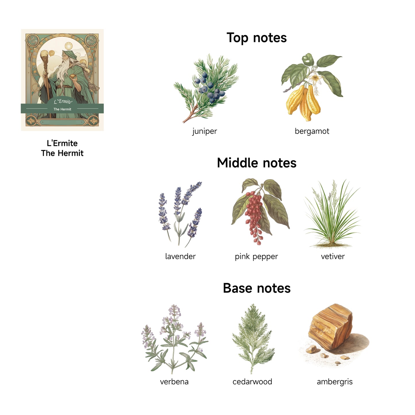 The Hermit Juniper Lavender